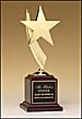Shooting Star Award 1570